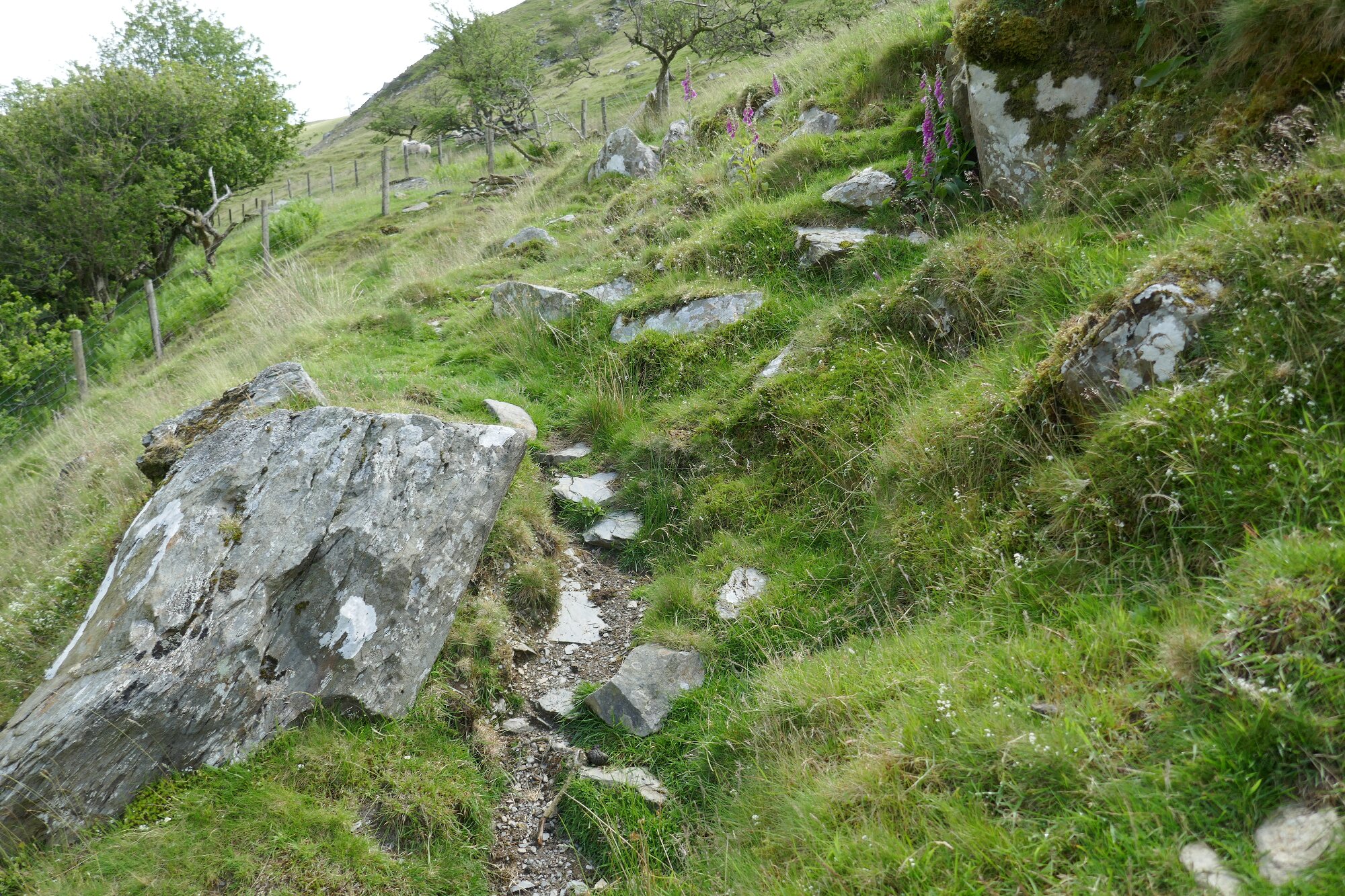 RachelSeabrook.net | Wild Walking | Cwmystwyth | pic25